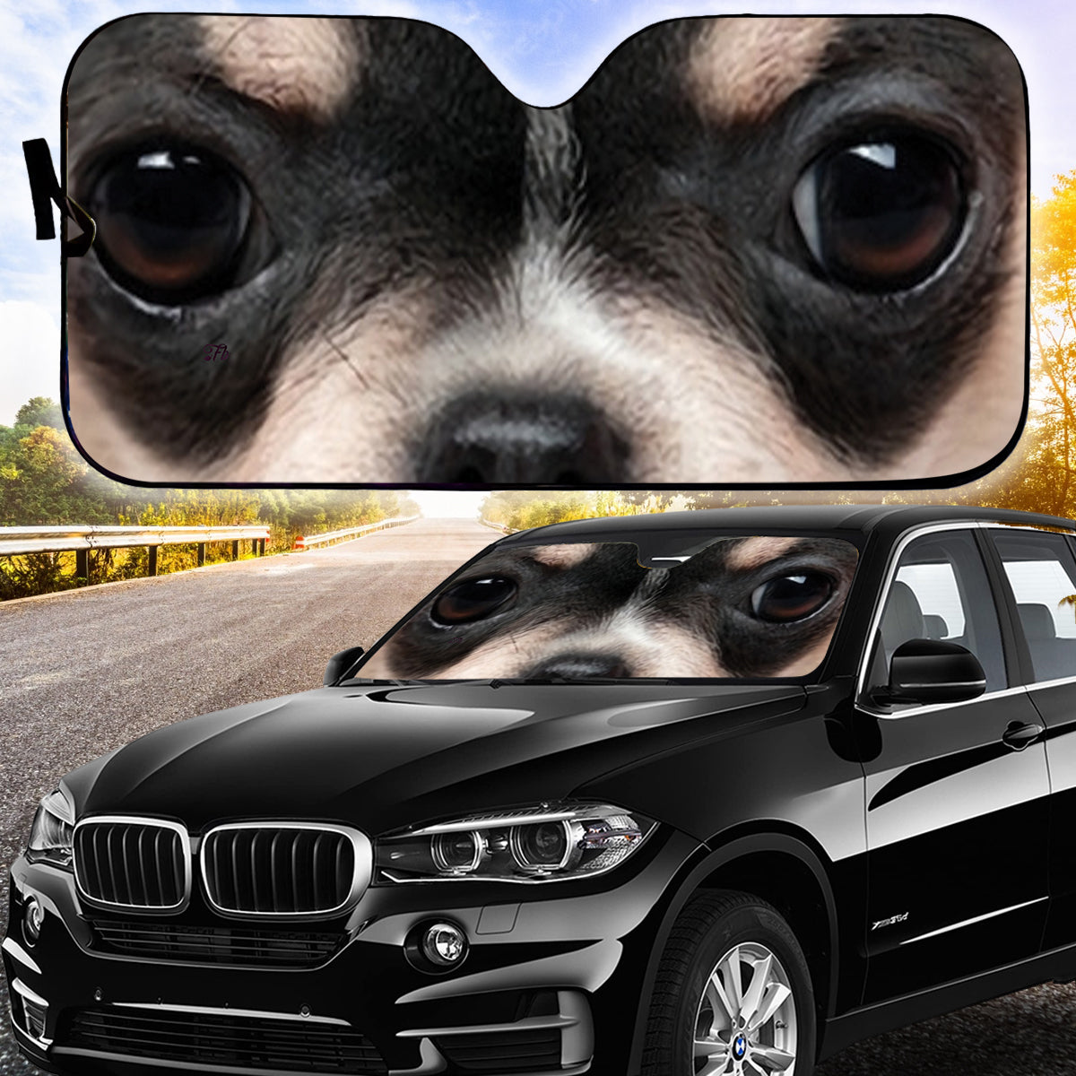 Petthouse | Black Chihuahua Windshield Sun Shade Dog Shooting Close Up Automotive Interior