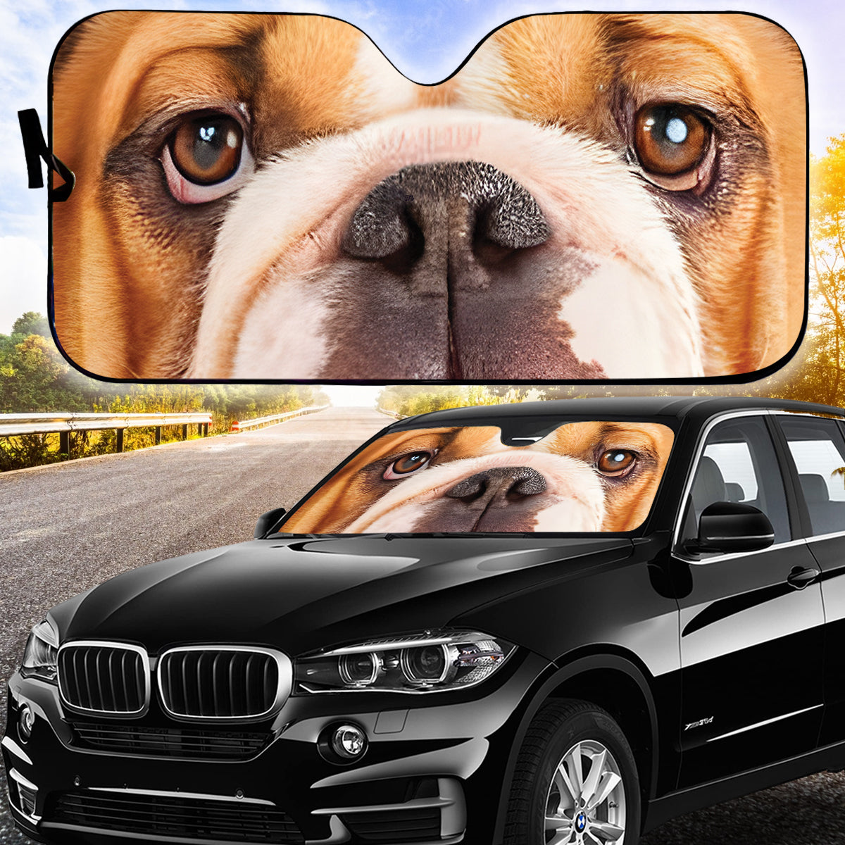 Petthouse | English Bulldog Dog Eyes Printed Windshield Sun Shade Puppies Funny Bulldog Interior Sun