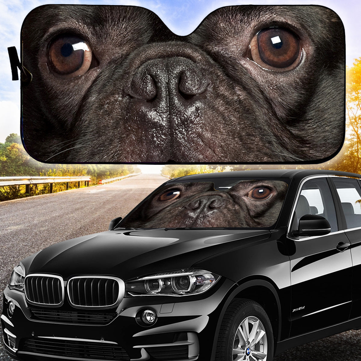 Petthouse | Black French Bulldog Close Up Shots Car Sun Shade Windshield Dog Face Truck Window Shades