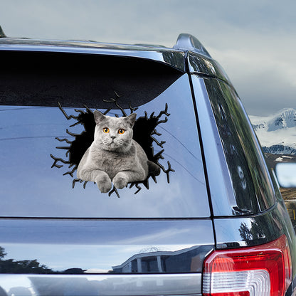 Petthouse | British Shorthair Cat Stickers For Teens Crack Decal For Car Window Cat Mom Dad Tailgate Mural