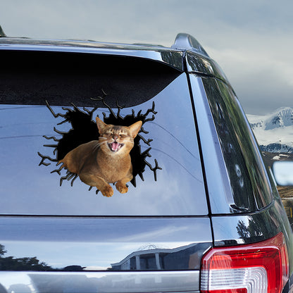 Petthouse | Abyssinian Cat Happy Face Water Bottle Stickers For Kids Cracked Car Sticker For Cat Lovers
