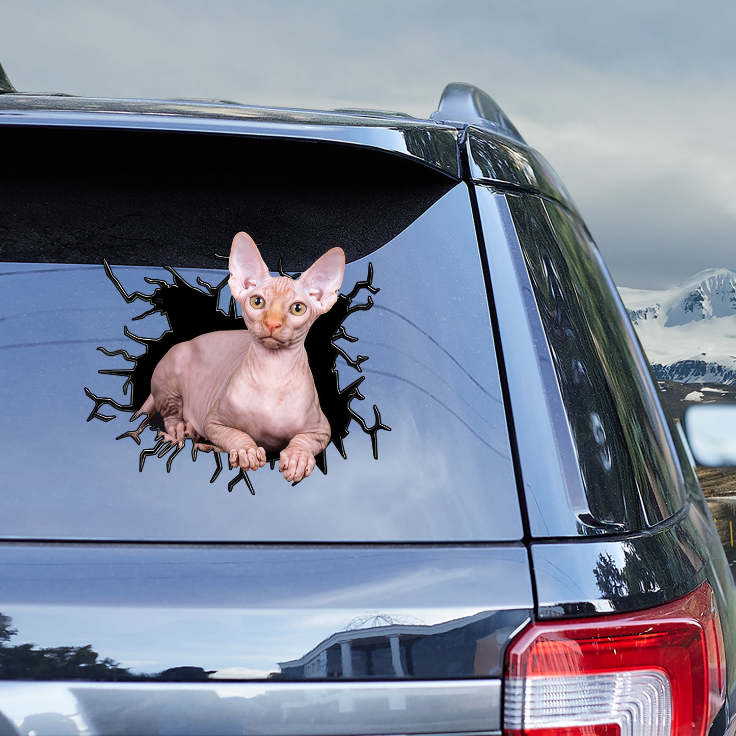 Petthouse | Sphynx Cat Vinyl Stickers Big Hole Cracked Water Bottle Stickers Cute Stickers Kawaii Cat Lover