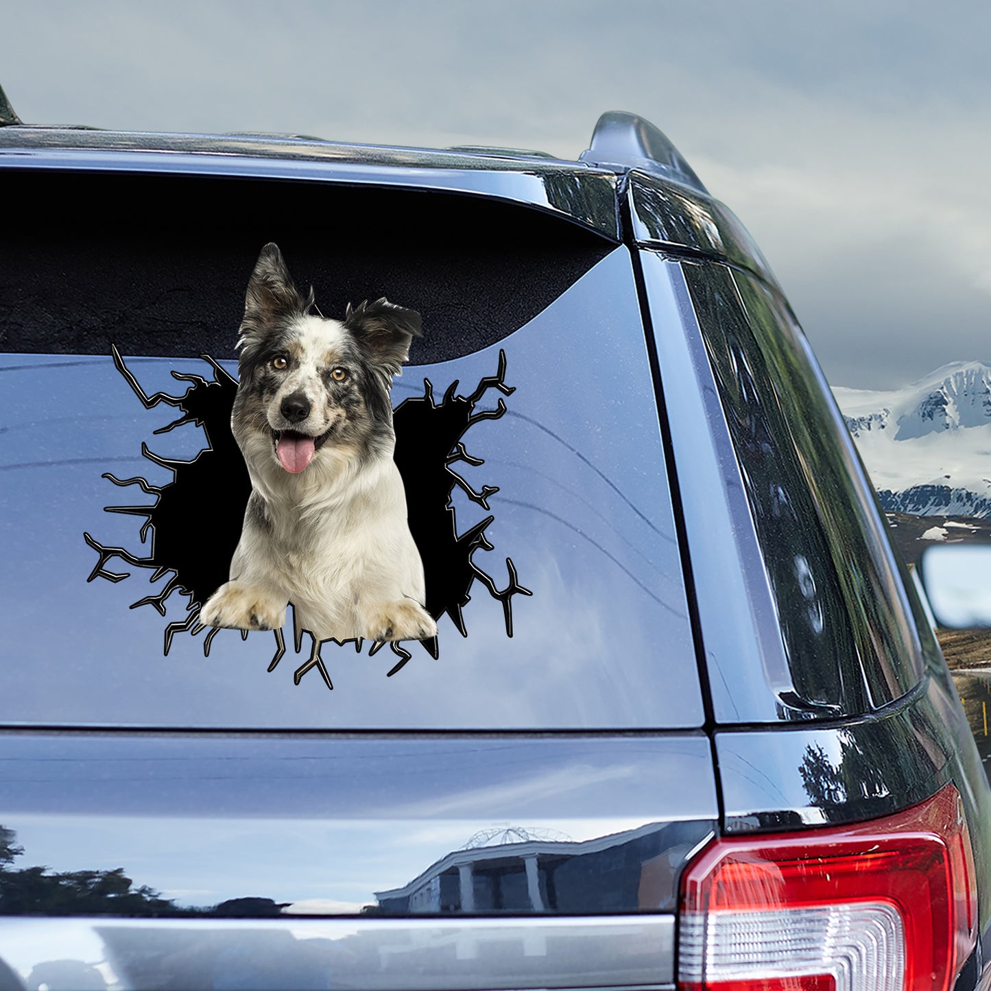 Petthouse | Blue Merle Border Collie Funny Face Stickers Border Collie Crack Hole Decal Printed Window Car