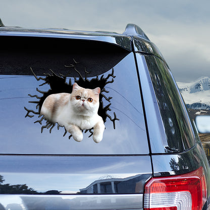 Petthouse | Exotic Shorthair Crawl Out Kawaii Stickers Crack Broken 3d Hole Glass Vinyl Stickers Die Cut