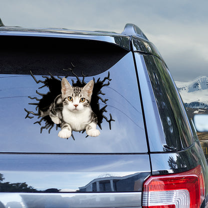 Petthouse | Abyssinian Cat Crack Sticker Car Window Cat Pet Paw Cute Stickers Kawaii Cat Mom Vinyl Decals