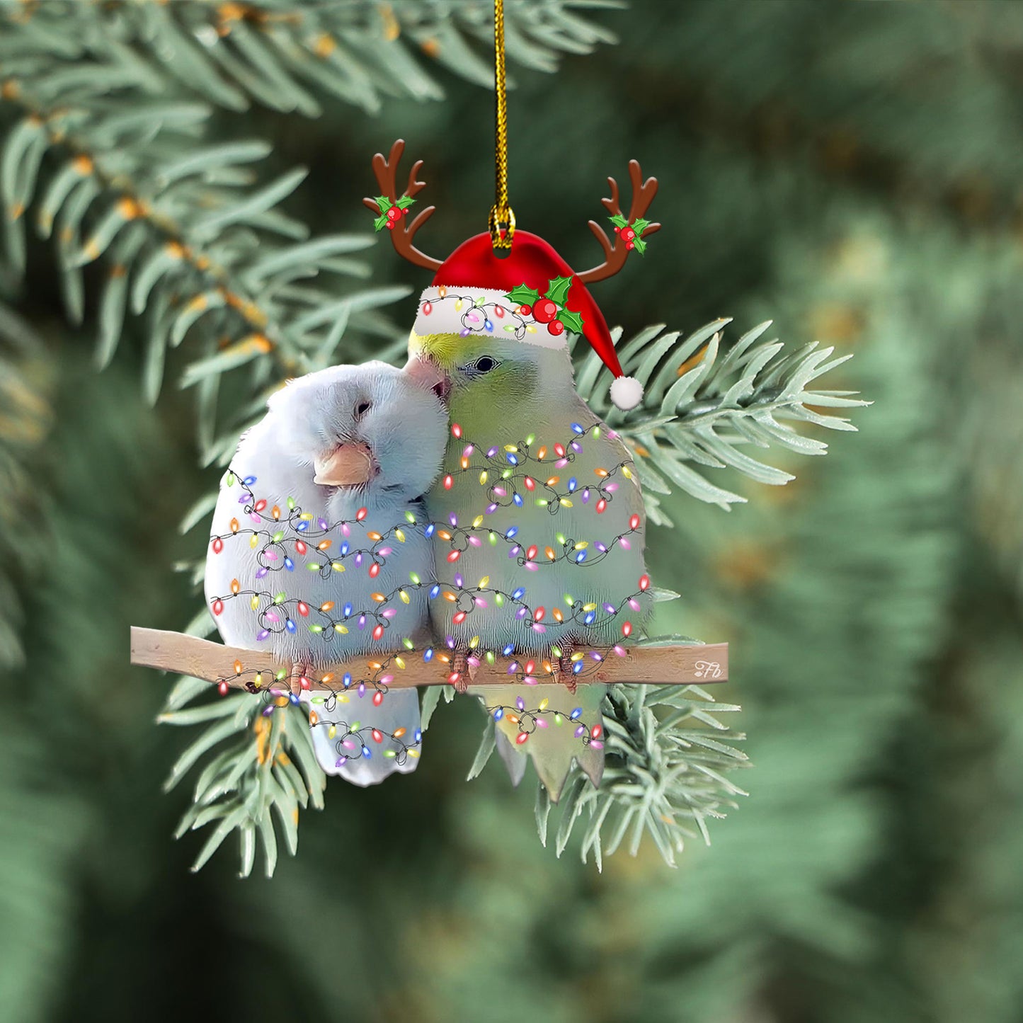 Petthouse | Couple Parrot Car Ornament Cute Parrot Couple Ornament Christmas Ornament Xmas Gift