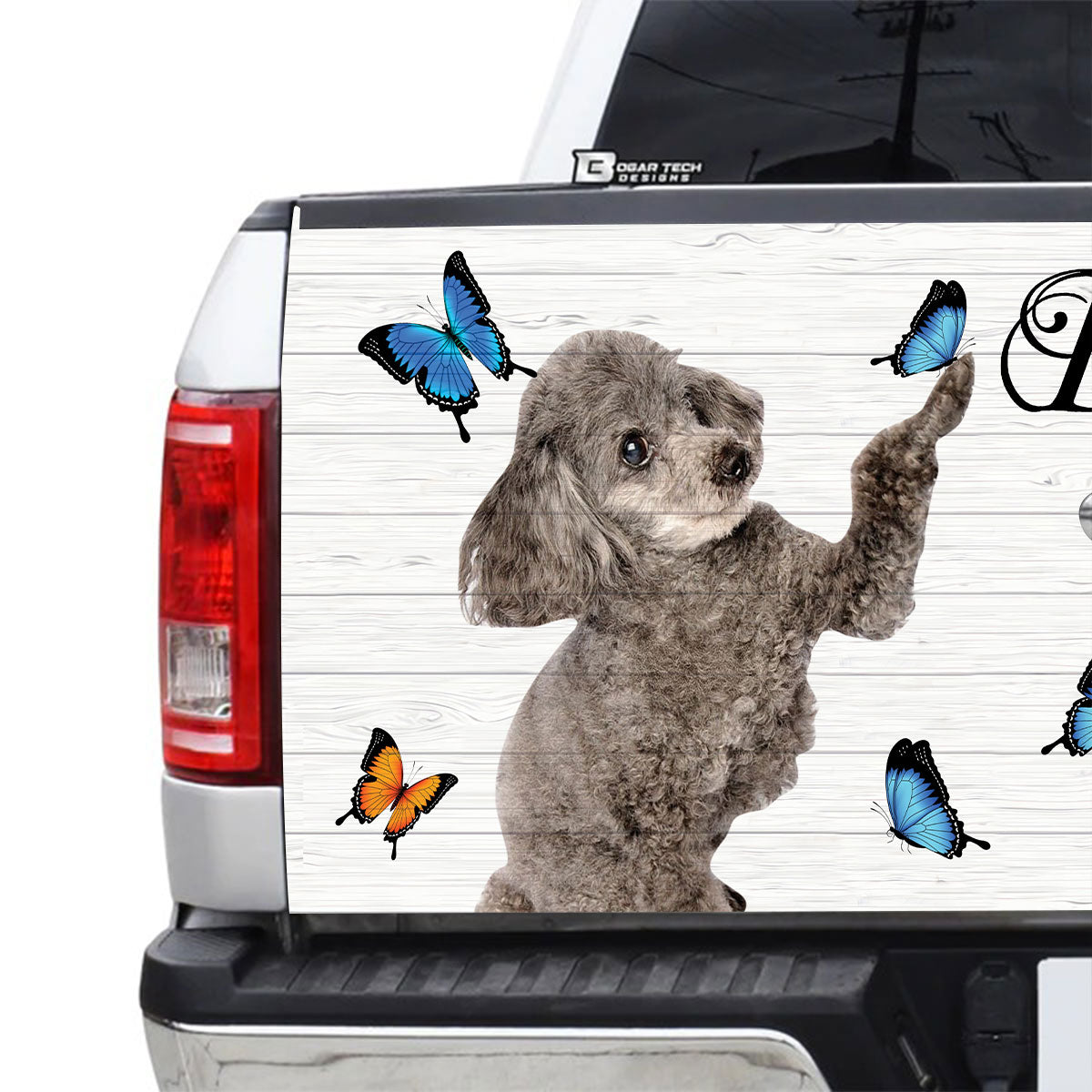 Petthouse | Poodle Puppies With Butterfly Be Still And Know That I Am God Quote Christian Puppies Poodle Fans