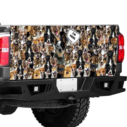 Petthouse | Tailgate Wrap Vinyl Graphic Decal Sticker Australian Cattle I’m Here Tailgate Wrap