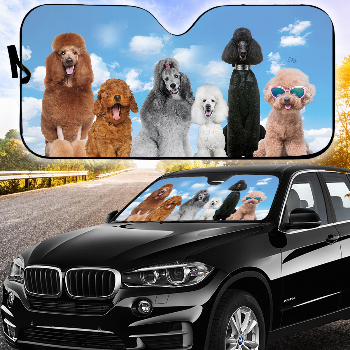 Petthouse | Poodle Dog Under Blue Sky Car Sunshade Truck Windshield Sun Shade Dog Sunshade