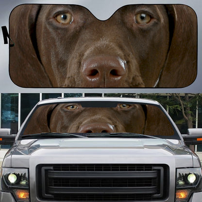 Petthouse | German Shorthaired Pointer Car Sunshade Car Decoration Dog's Lovers Gift Dog Owners Gift