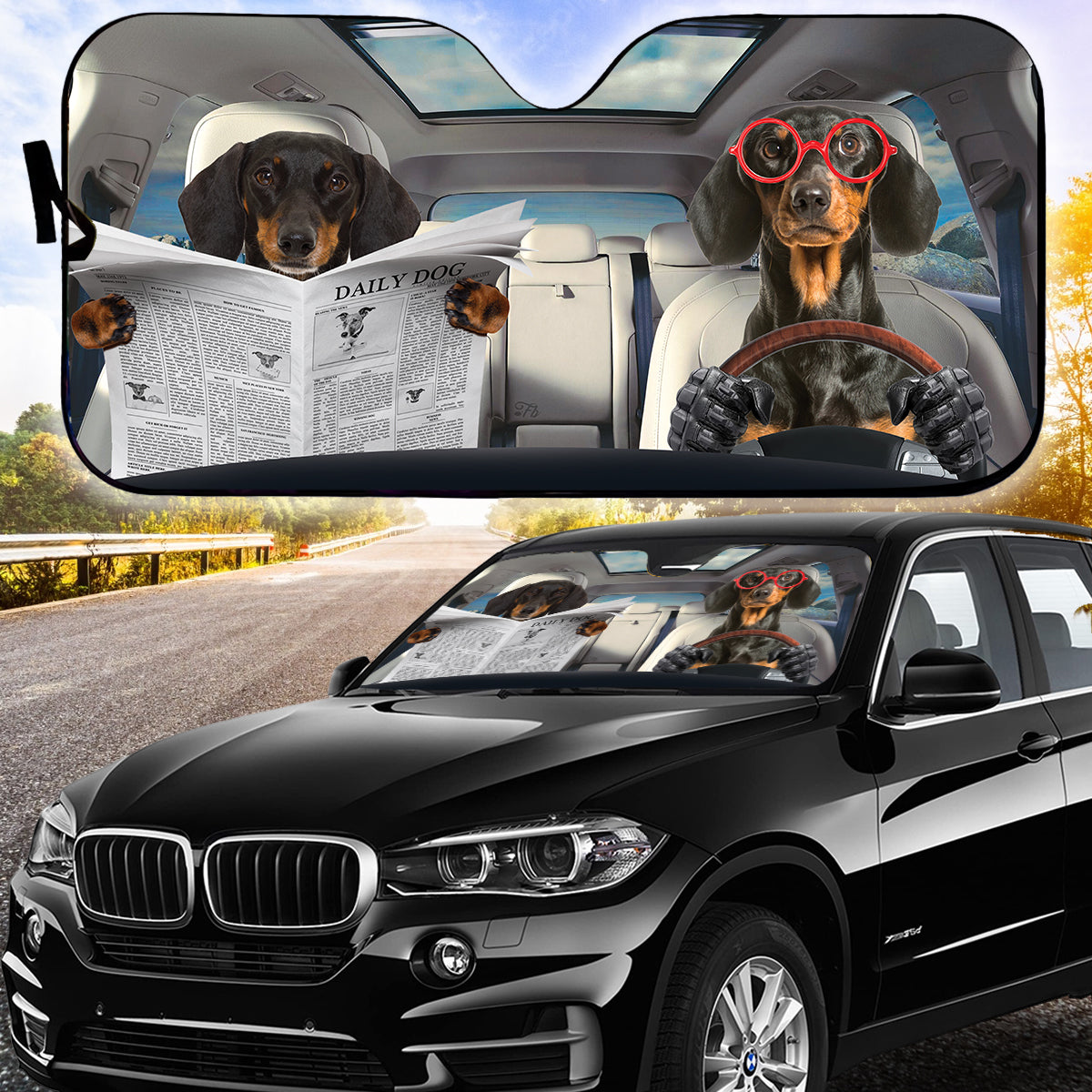 Petthouse | Dachshund Reading Newspaper Windshield Sun Shade Daily Dog Driving Windshield Cover Fun Car