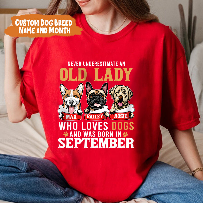 Petthouse | Personalized Dog T-shirt, Gift For Dog Owners, Never Underestimate An Old Lady Who Loves Dogs