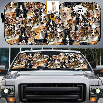 Petthouse | Customize Photo Sun Shade Labrador Retriever I’m Here Car Sunshade Dog Sunshade Car Sun Shade