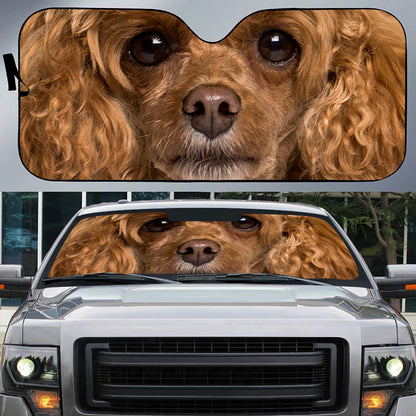 Petthouse | Poodle Dog Windshield Sunshade Dog Big Face Car Sunshade Dog Owners Gift Christmas Gift