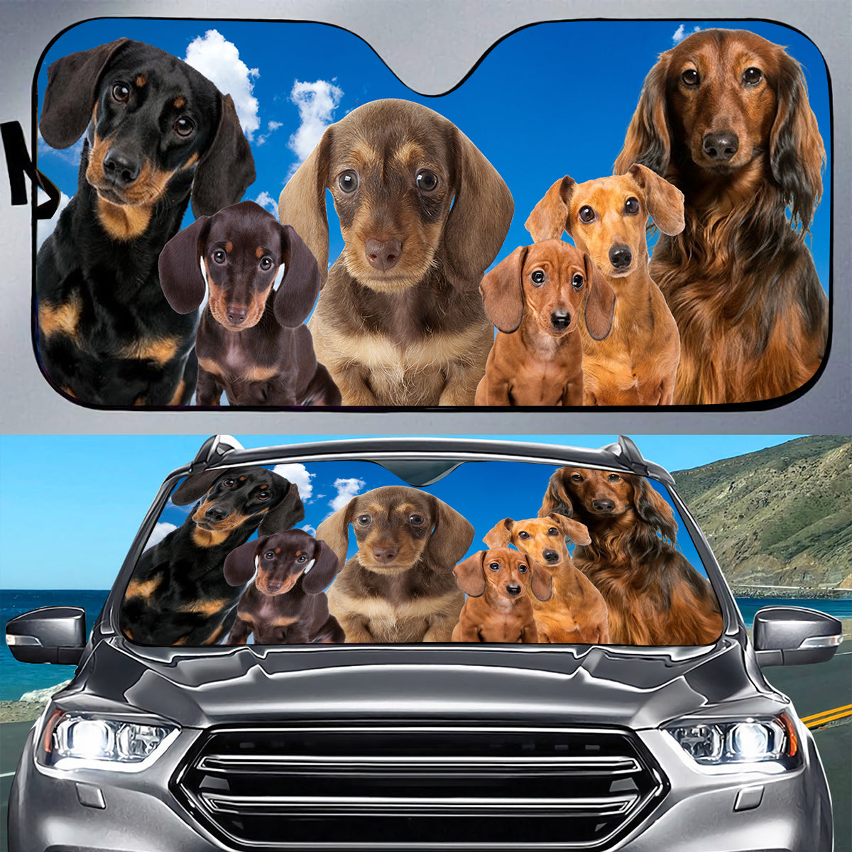 Petthouse | Dachshund Dog Car Sunshade Car Accessories Gift For Dachshund Lovers Pet Owners Gift Holiday