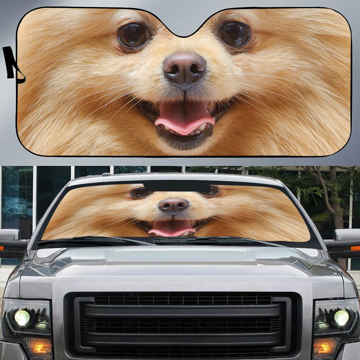 Petthouse | Pomeranian Dog Car Sunshade Car Decoration Dog Pet Animal Windshield Sunshade Friends Gift Dog's