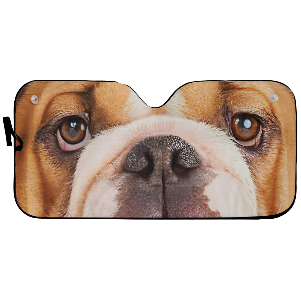 Petthouse | English Bulldog Dog Eyes Printed Windshield Sun Shade Puppies Funny Bulldog Interior Sun