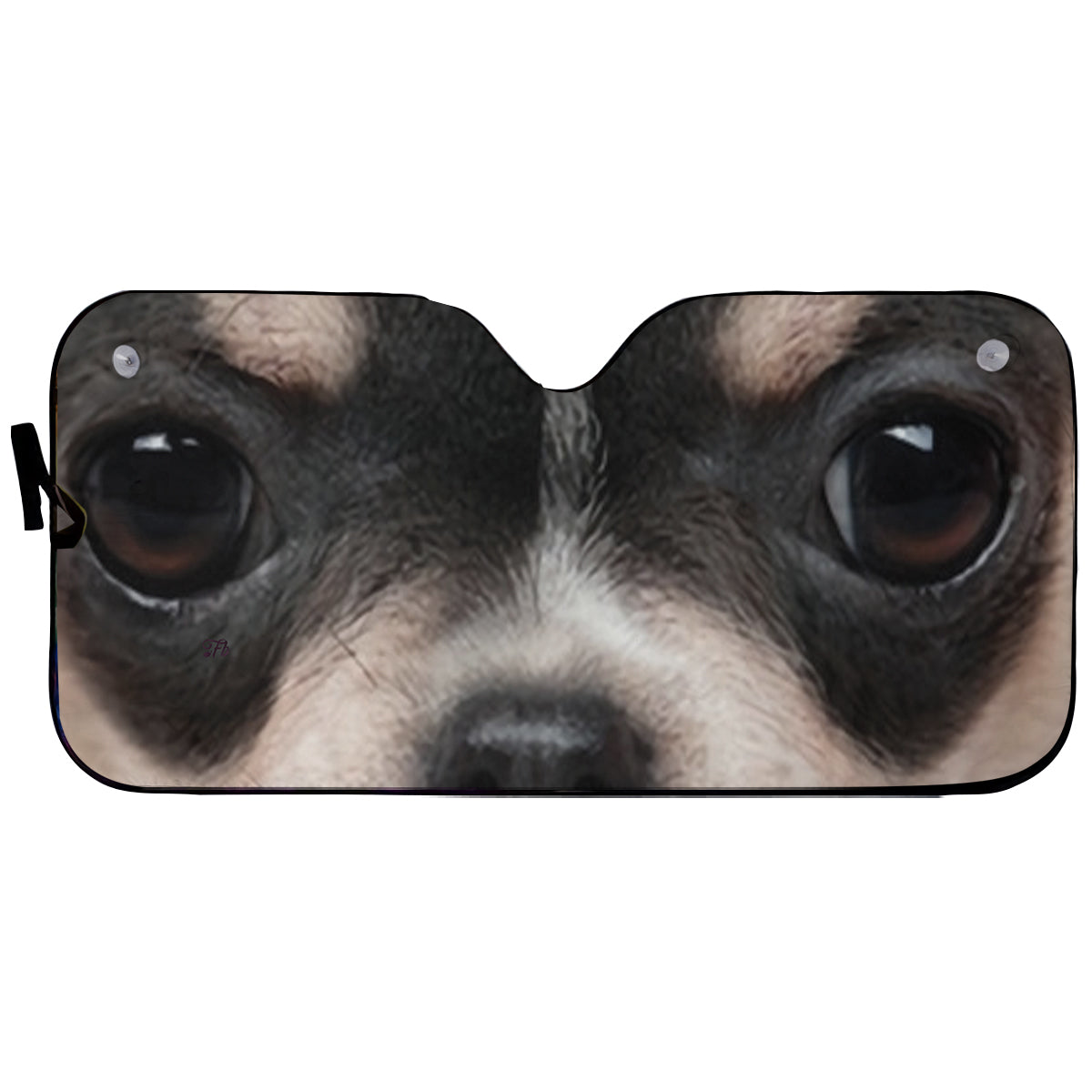 Petthouse | Black Chihuahua Windshield Sun Shade Dog Shooting Close Up Automotive Interior