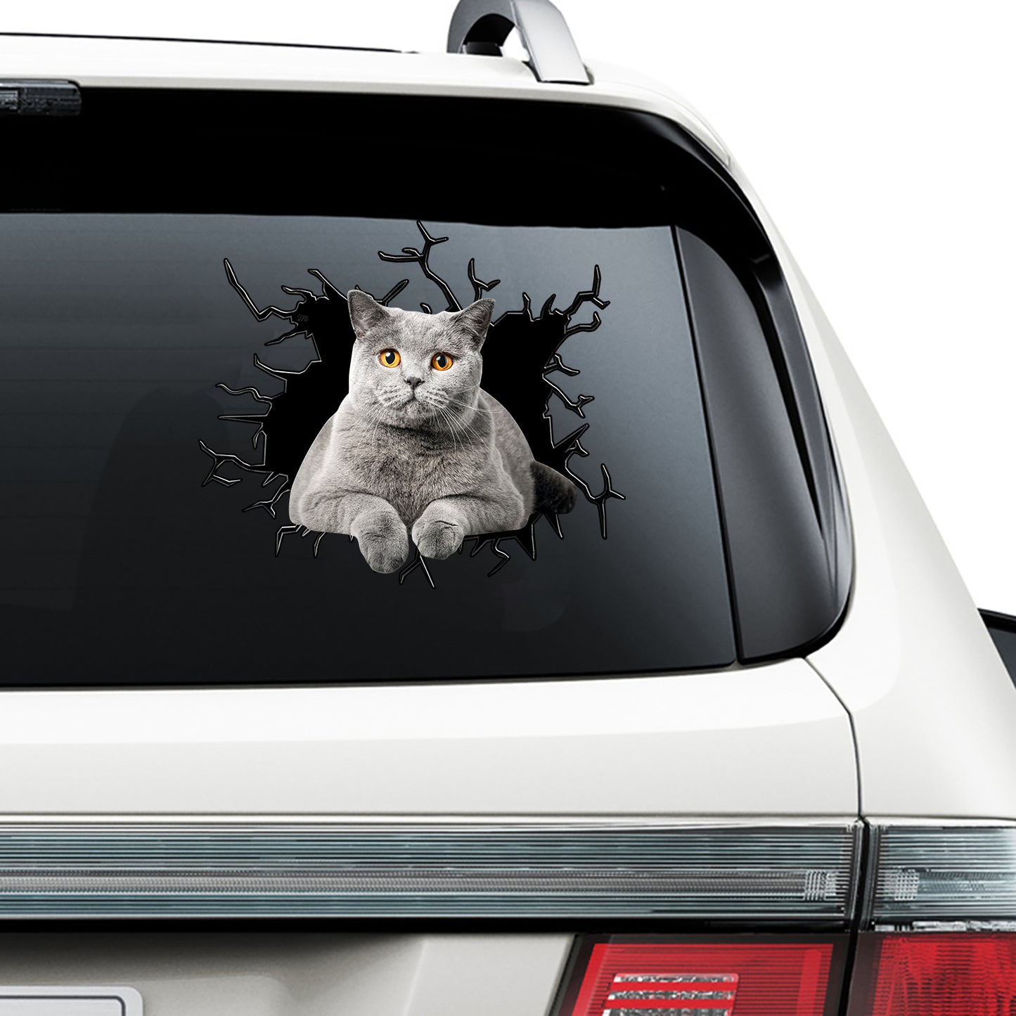 Petthouse | British Shorthair Cat Stickers For Teens Crack Decal For Car Window Cat Mom Dad Tailgate Mural