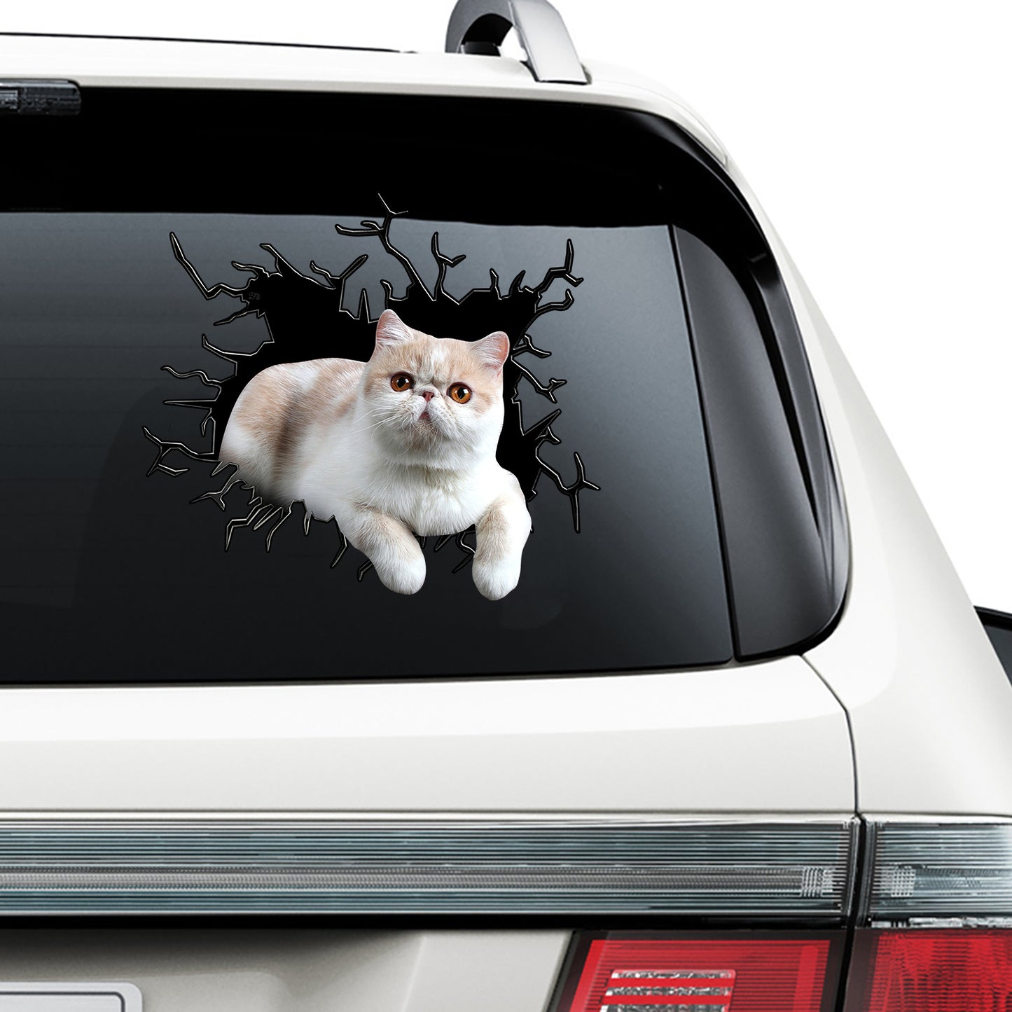 Petthouse | Exotic Shorthair Crawl Out Kawaii Stickers Crack Broken 3d Hole Glass Vinyl Stickers Die Cut