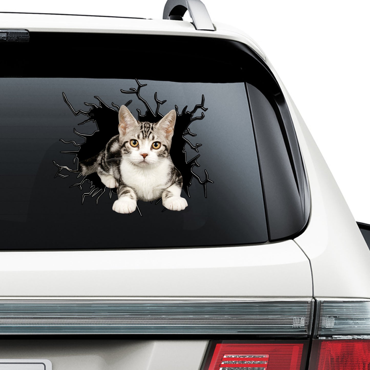 Petthouse | Abyssinian Cat Crack Sticker Car Window Cat Pet Paw Cute Stickers Kawaii Cat Mom Vinyl Decals