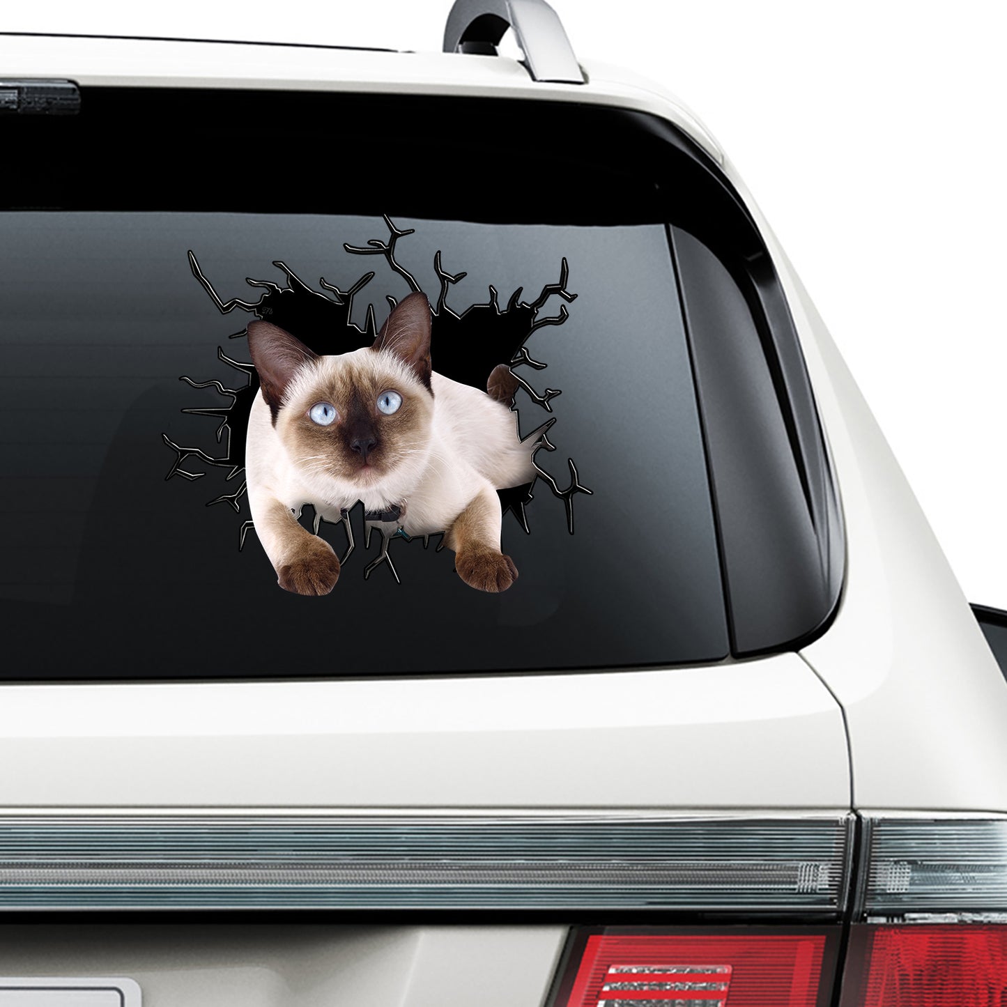 Petthouse | Siamese Cat Inside Hole Cool Stickers Crack Glasses Car Cracked Surface Meme Stickers