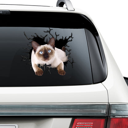 Petthouse | Siamese Cat Inside Hole Cool Stickers Crack Glasses Car Cracked Surface Meme Stickers