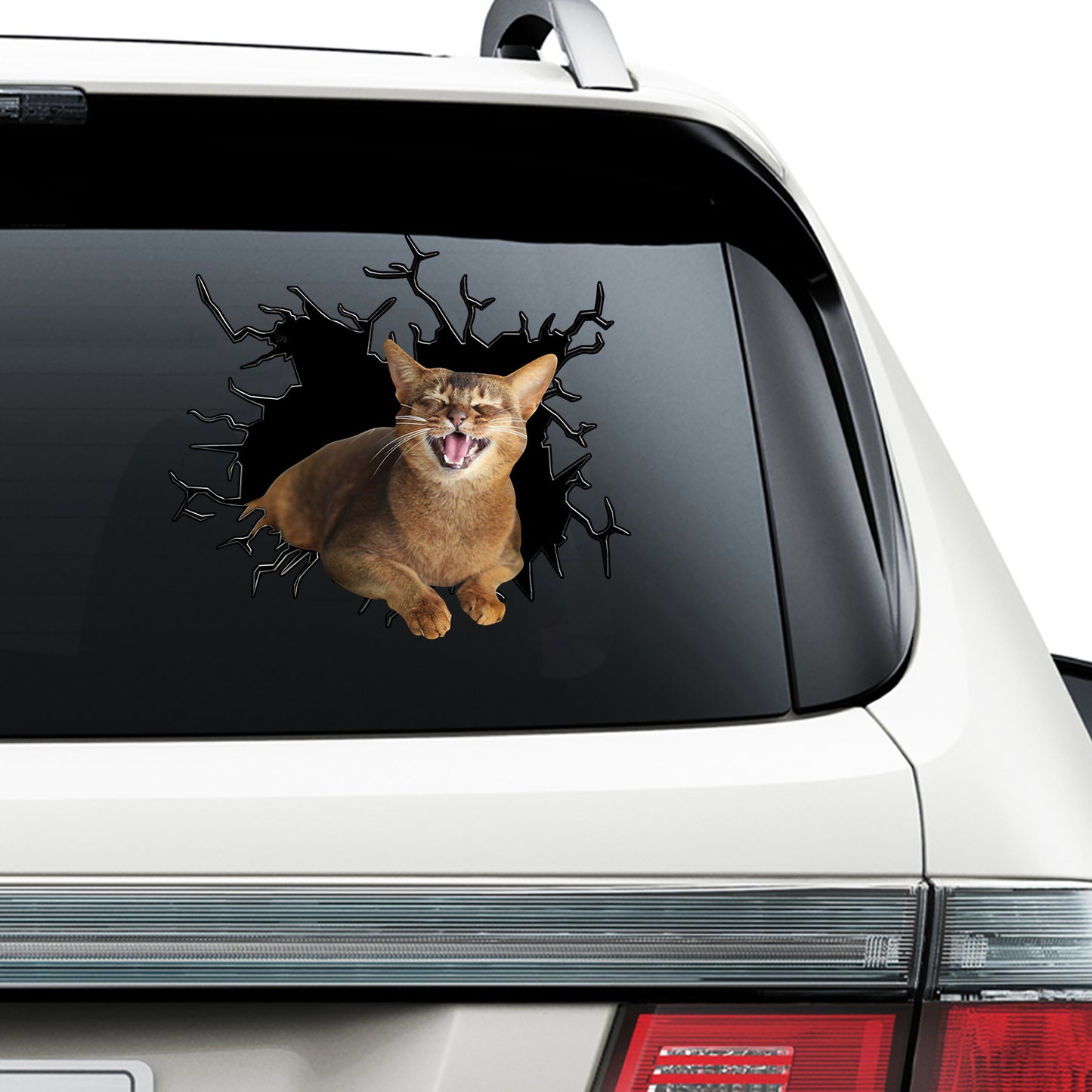 Petthouse | Abyssinian Cat Happy Face Water Bottle Stickers For Kids Cracked Car Sticker For Cat Lovers