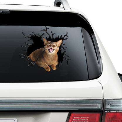 Petthouse | Abyssinian Cat Happy Face Water Bottle Stickers For Kids Cracked Car Sticker For Cat Lovers