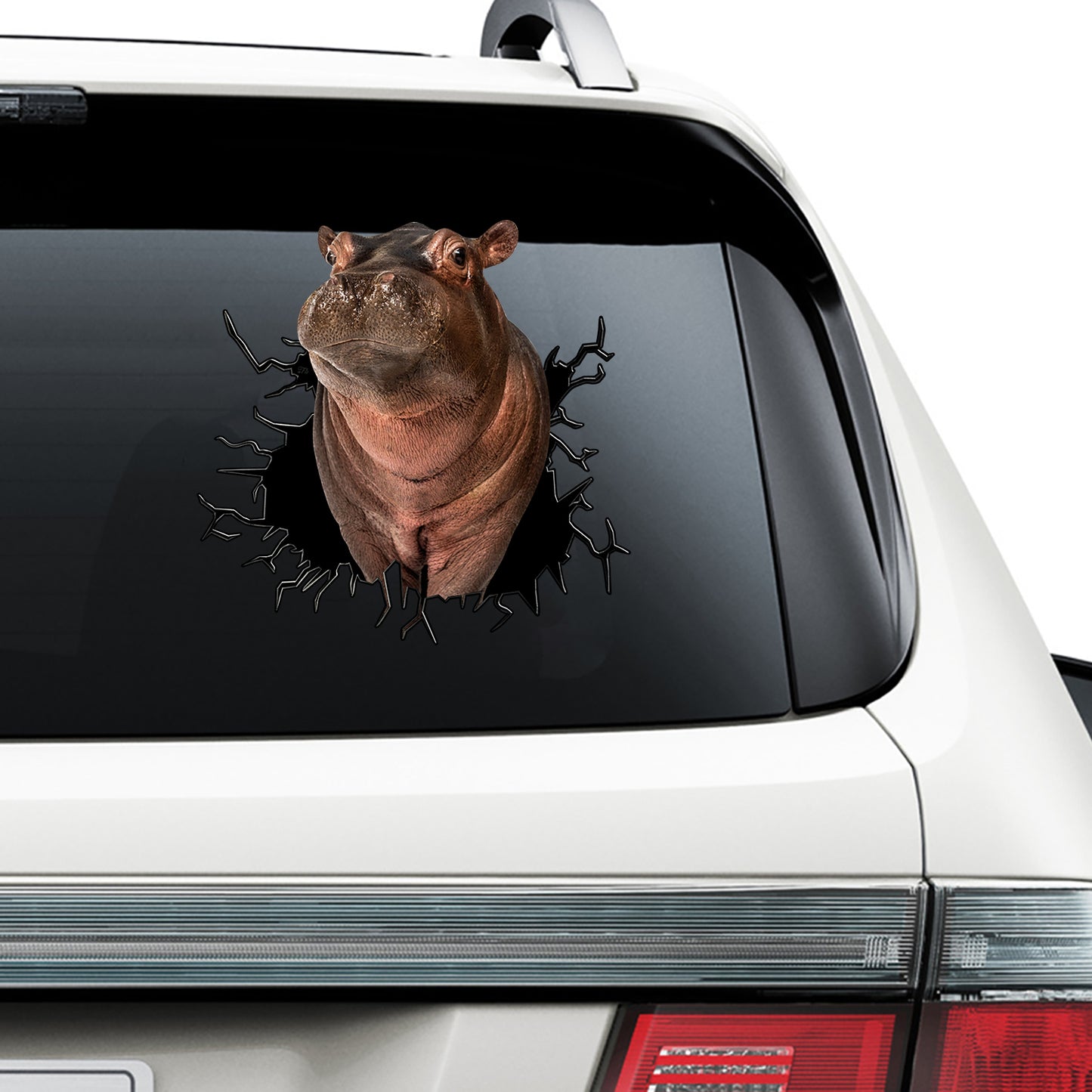 Petthouse | Hippopotamus Kawaii Stickers Hippo Crack Decal For Car Window Vinyl Die Cut Decal Animal Lovers