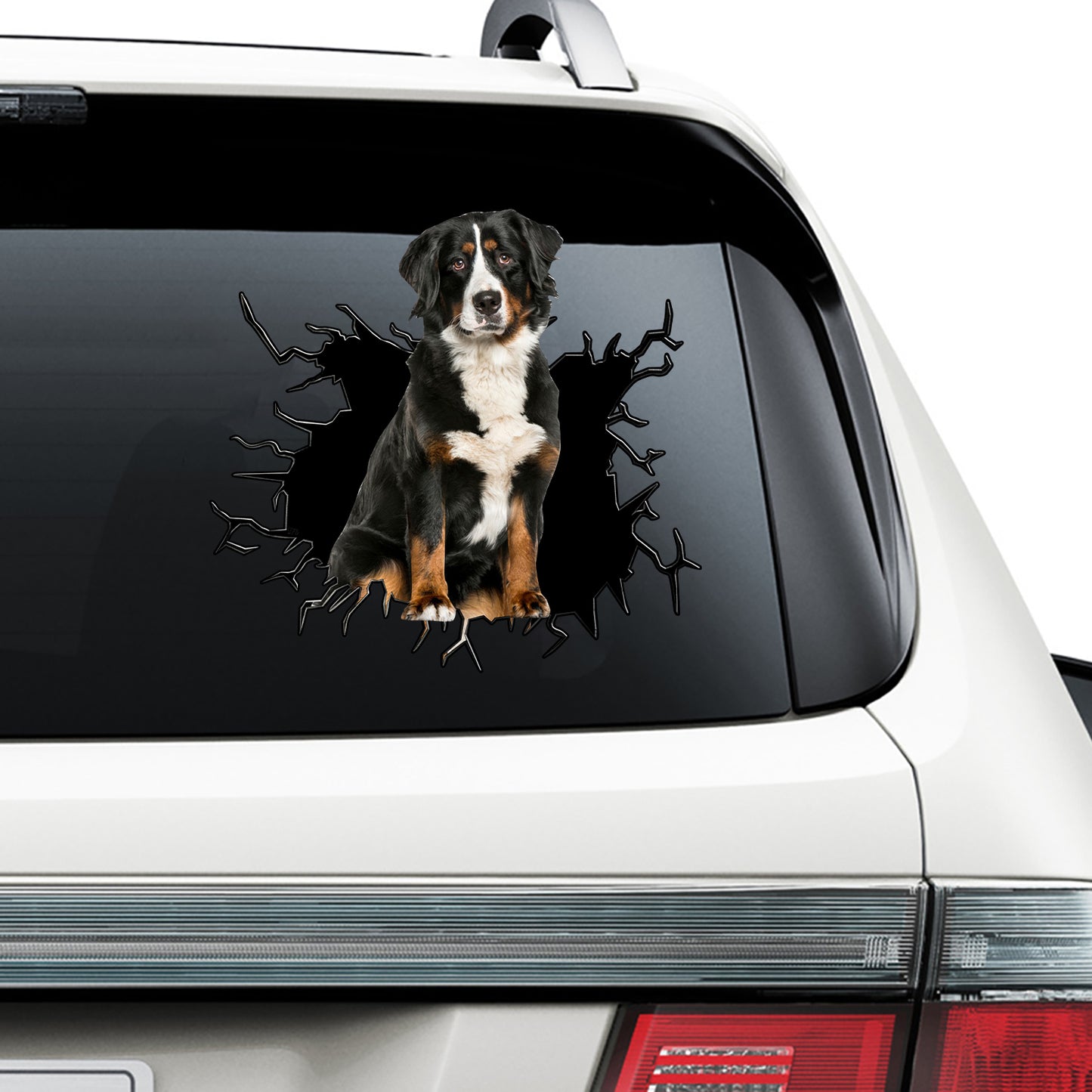 Petthouse | Bernese Mountain Crack Illusion Vinyl Sticker Dog Pet Paw Graphic Vinyl Decal For Dog Owners