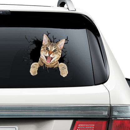 Petthouse | Abyssinian Cat Water Bottle Stickers Crack Sticker Decal For Car Cute Stickers Kawaii For Cat Mom