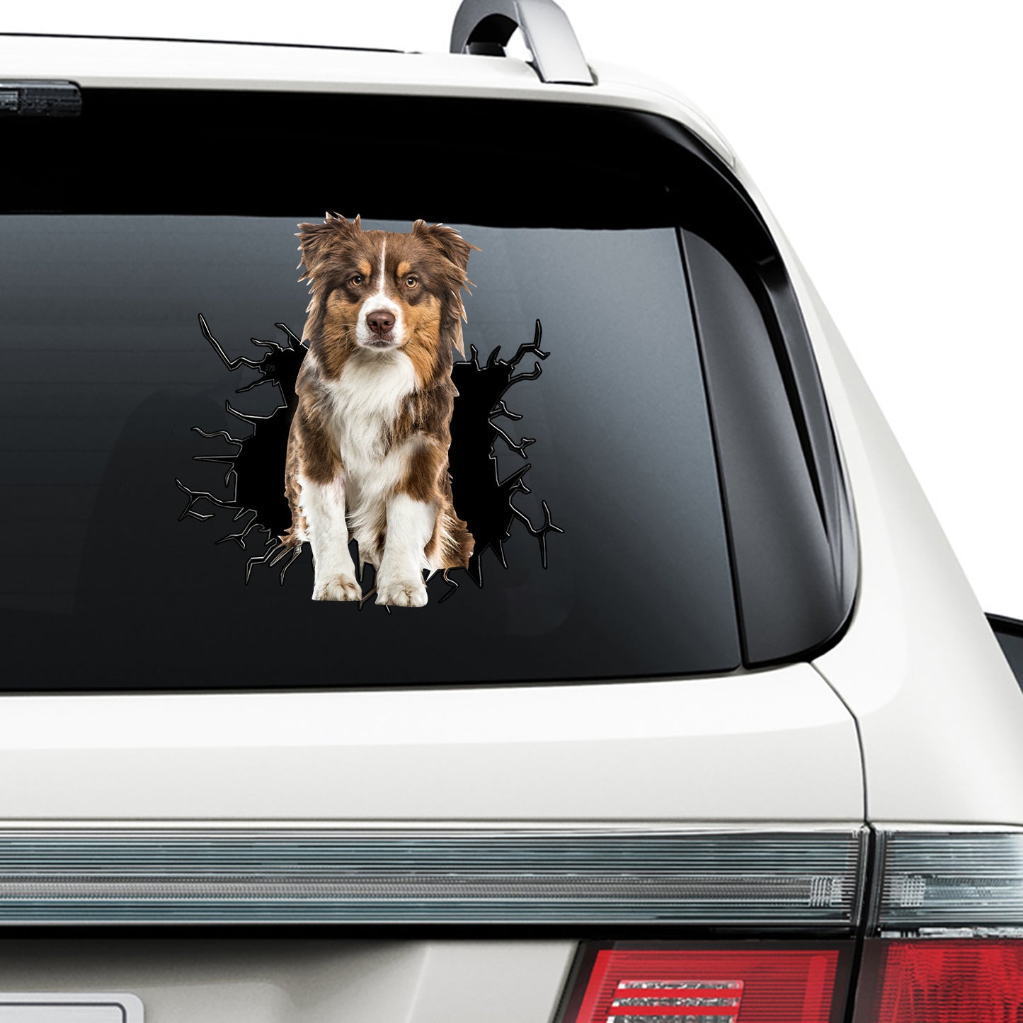 Petthouse | Brown Australian Shepherd Vinyl Decal Dog Peeking Out Crack Hole Sticker For Dog Lovers