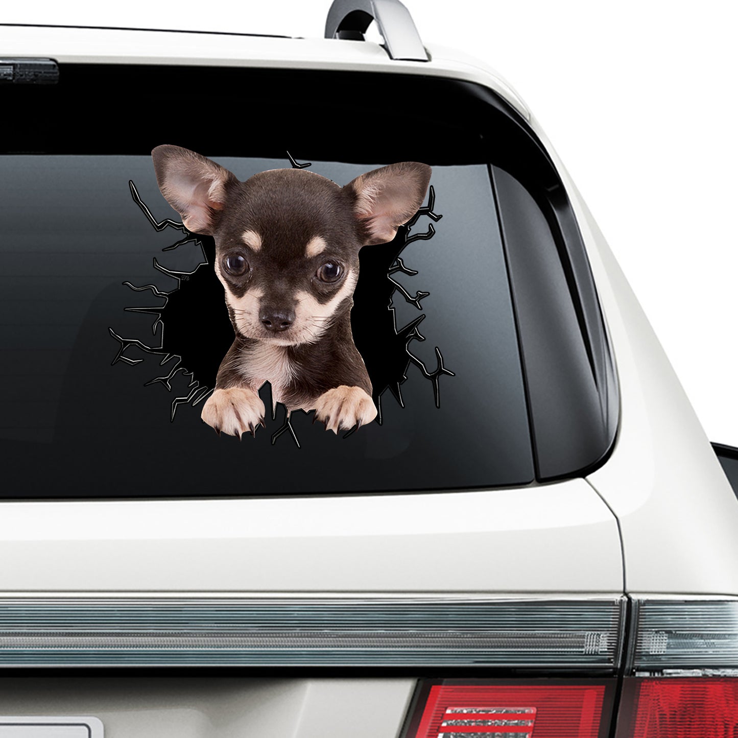 Petthouse | Chihuahua Puppy Weather-resistant Car Sticker Dog Punched Wall Printed Decal Fun Car Decor