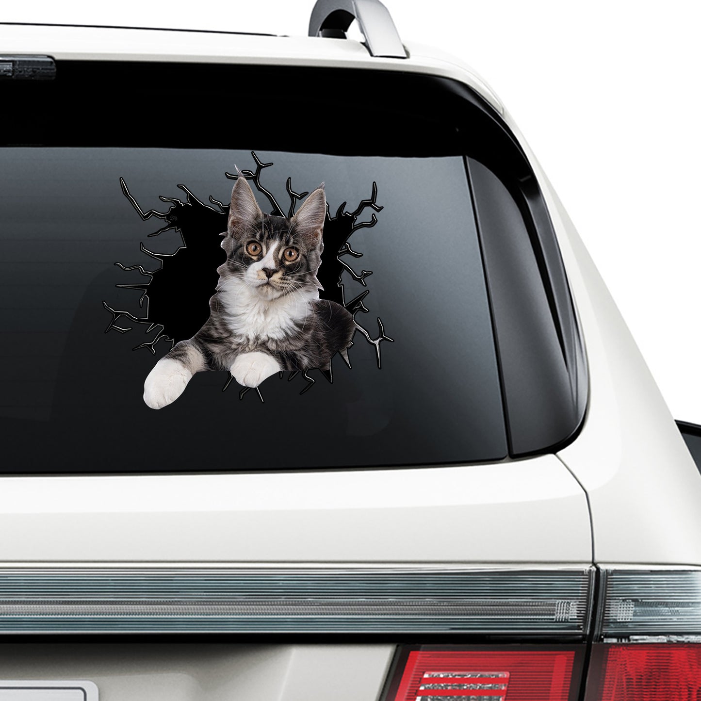 Petthouse | Maine Coon Cat Inside Hole Stickers For Teens Cat Lovers Crack Window Broken Wall Fun Car Decor