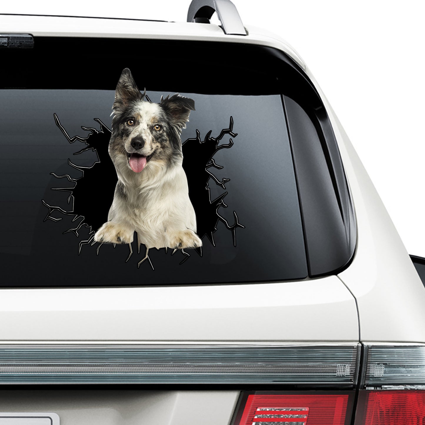 Petthouse | Blue Merle Border Collie Funny Face Stickers Border Collie Crack Hole Decal Printed Window Car