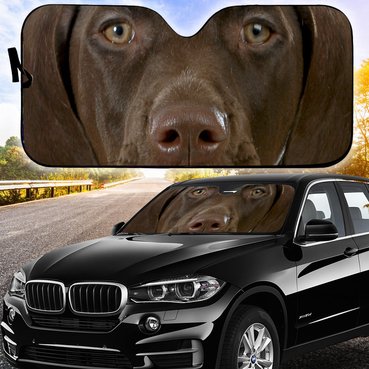 Petthouse | German Shorthaired Pointer Car Sunshade Car Decoration Dog's Lovers Gift Dog Owners Gift