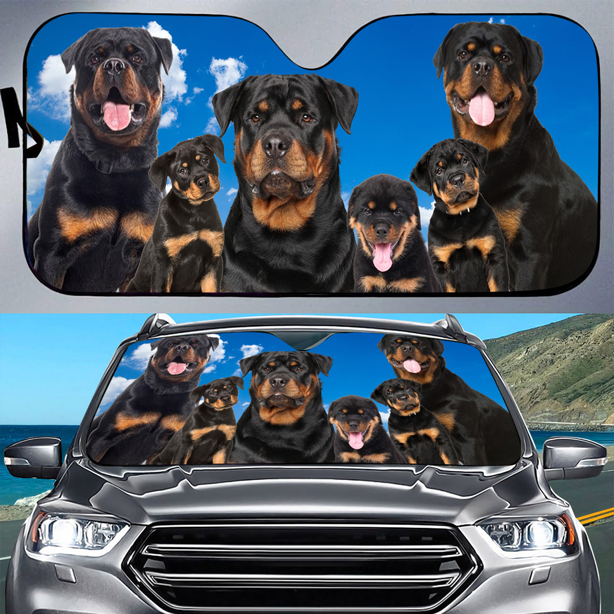 Petthouse | Rottweiler Car Sun Shade Windshield Foldable Car Shades For Front Windows Sunshade Dog