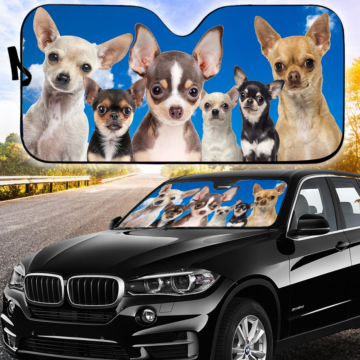 Petthouse | Chihuahua Car Sun Shade Windshield Cute Dog Car Accessories Car Decoration Pet's Lovers