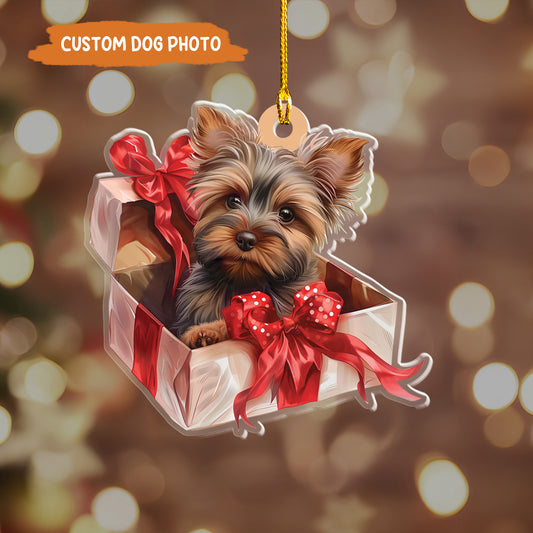 Petthouse | Adorable Yorkshire Terrier In Christmas Gift Box Ornament, Yorkshire Terrier, Gift For Dog Mom