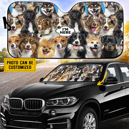 Petthouse | Customizable Windshield Visors Australian Cattle I'm Here Windshield Sun Shade A Bunch Of Dogs