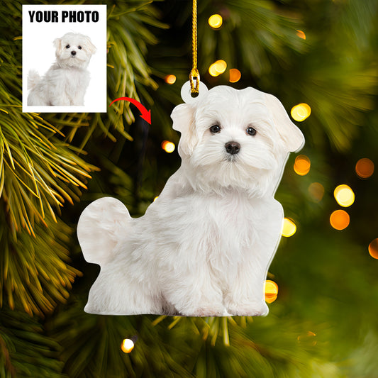 Petthouse | Custom Photo Dog Ornament, Personalized Gift For Dog Lover, Custom Pet Photo