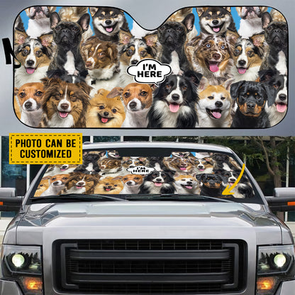 Petthouse | Customizable Windshield Visors Australian Cattle I'm Here Windshield Sun Shade A Bunch Of Dogs