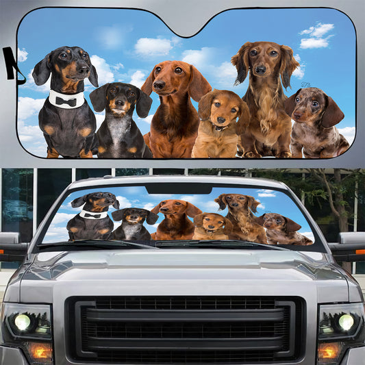 Petthouse | Dog Sunshade Dachshund Dog Under Blue Sky Car Sunshade Windshield Sun Shade