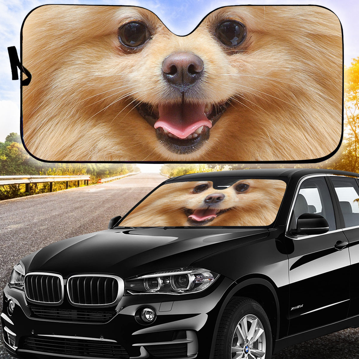 Petthouse | Pomeranian Dog Car Sunshade Car Decoration Dog Pet Animal Windshield Sunshade Friends Gift Dog's