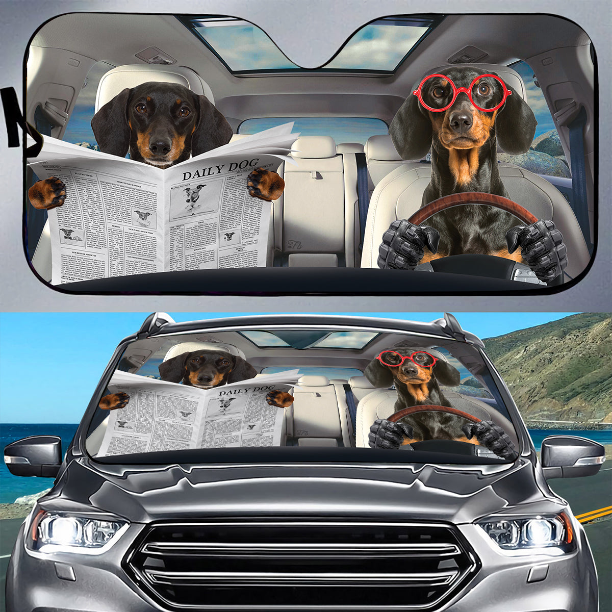 Petthouse | Dachshund Reading Newspaper Windshield Sun Shade Daily Dog Driving Windshield Cover Fun Car