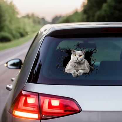 Petthouse | British Shorthair Cat Stickers For Teens Crack Decal For Car Window Cat Mom Dad Tailgate Mural