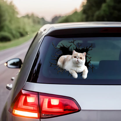Petthouse | Exotic Shorthair Crawl Out Kawaii Stickers Crack Broken 3d Hole Glass Vinyl Stickers Die Cut