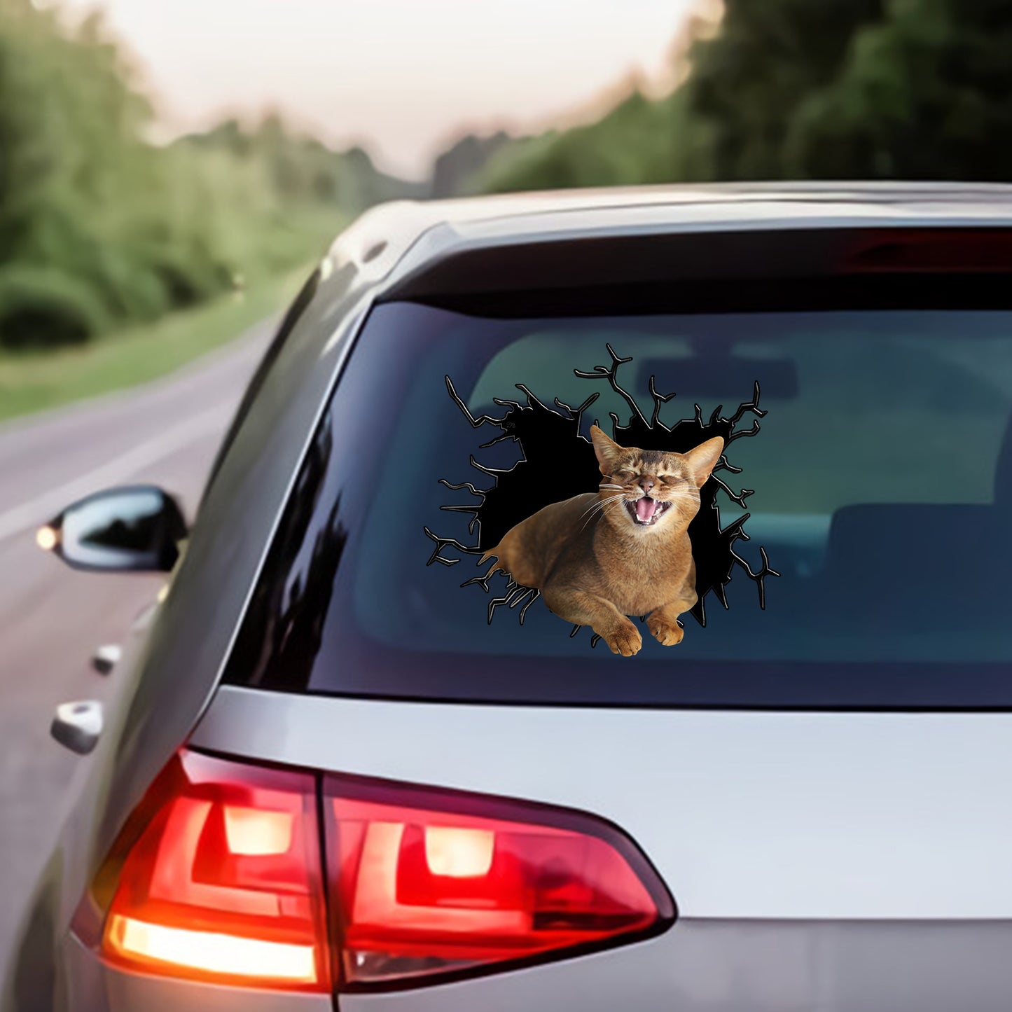 Petthouse | Abyssinian Cat Happy Face Water Bottle Stickers For Kids Cracked Car Sticker For Cat Lovers