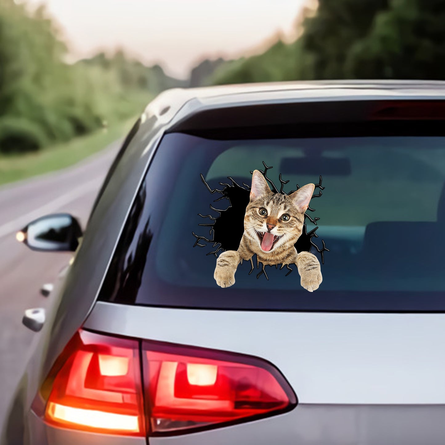 Petthouse | Abyssinian Cat Water Bottle Stickers Crack Sticker Decal For Car Cute Stickers Kawaii For Cat Mom